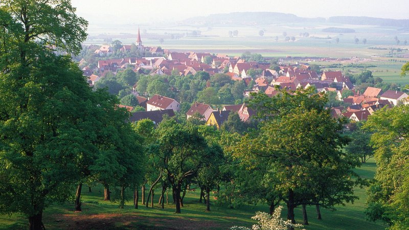 Blick auf Häuser des Ortes hinter Bäumen